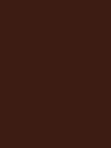Delineador de Cejas Tattoo Effect Brow Pen THE ONE - Dark Brown