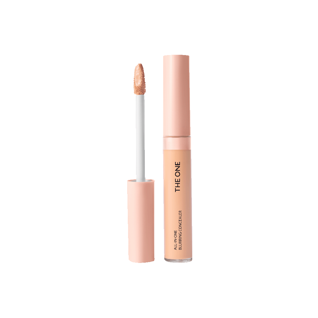 Corrector de Imperfecciones All-in-one THE ONE - Light Fair